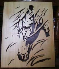 Horse in the wind