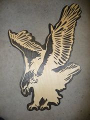 eagle on the wing