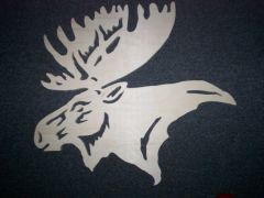 moose head