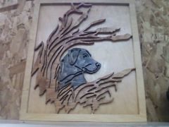 Hunting dog