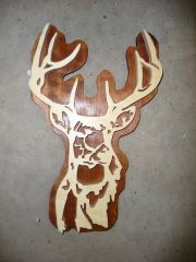 deer