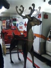 Finished Reindeer