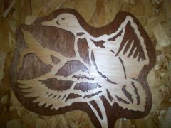 ON the wing