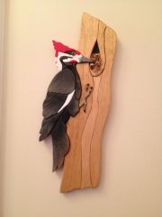 Woodpecker & Babies