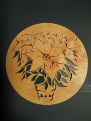 Poinsettia