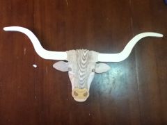 Texas Longhorn