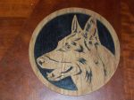 german shephard