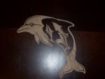 dolphins