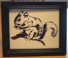 Squirrel