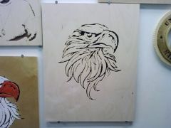Eagle Portait