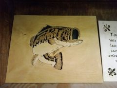 Bass Stained