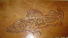 walleye