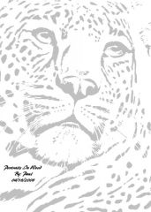 Resting Leopard1 By Paul