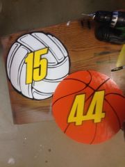Volley Ball and Basket Ball