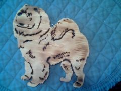 chow chow