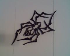 Spider