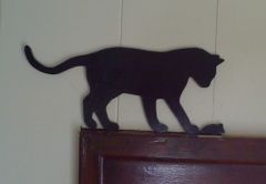 cat1