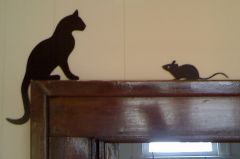 Cat & mouse
