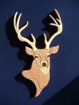 Eight Point Buck 2012
