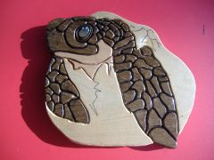 Hatchling