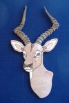 IMPALA ANTELOPE