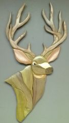 12 Point Buck