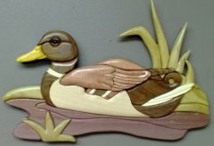 Mallard