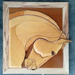 framed horse