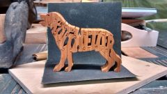 Rottweiler Puzzle Cut