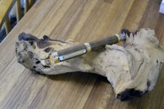 Emporer Pen