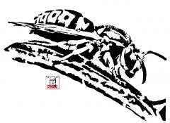 wasp pattern