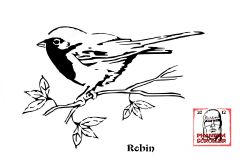 robin pattern