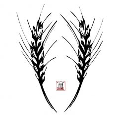 wheat