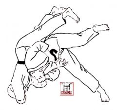 judo