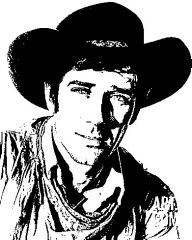 Robert Fuller ,Jess Harpper pattern