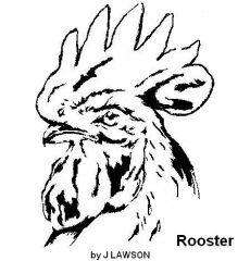 ROOSTER HEAD