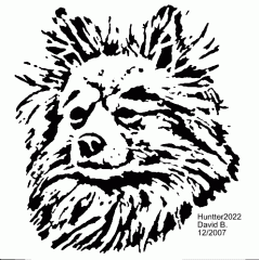 pomeranian