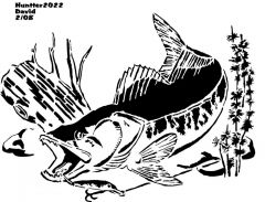 hunter walleye.gif