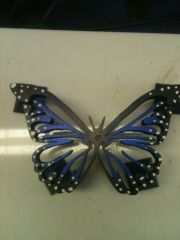 blue morpho