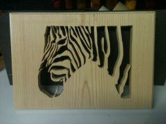 zebra