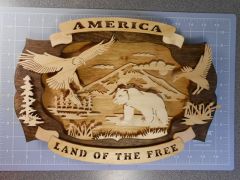 Land Of The Free