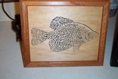 Crappie