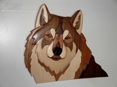 Wolf 0116 edited 1