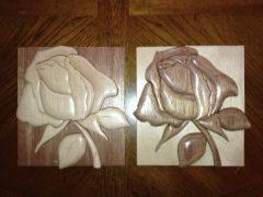 IMG 0352[1]