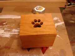 Paw Box