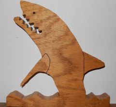 Shark In Water