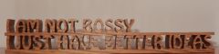 I Am Not Bossy I Just Have Better Ideas