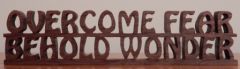 Overcome Fear Behold Wonder