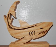 Shark Profile