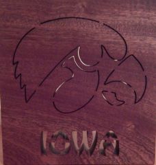 Iowa Hawkeye